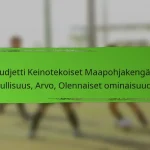 Budjetti Keinotekoiset Maapohjakengät: Edullisuus, Arvo, Olennaiset ominaisuudet