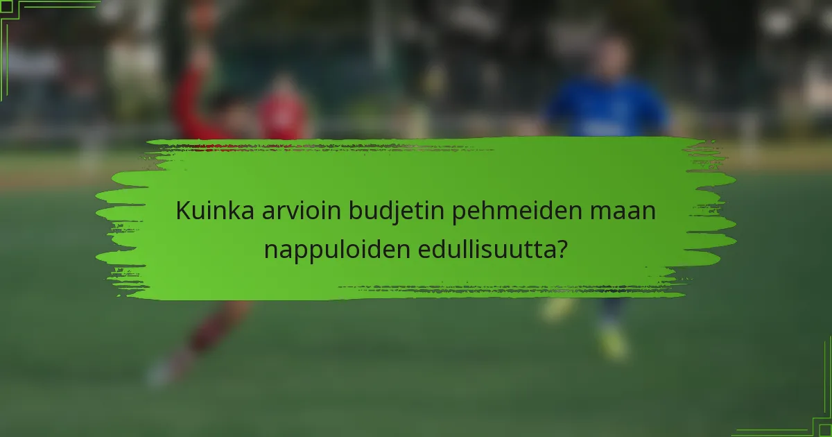 Kuinka arvioin budjetin pehmeiden maan nappuloiden edullisuutta?