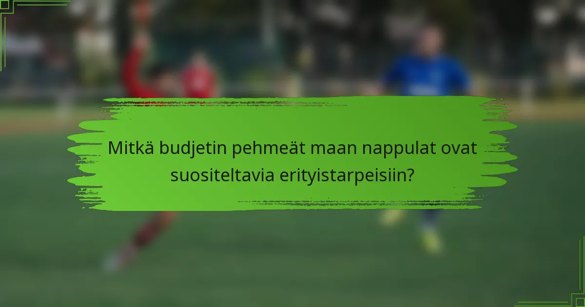 Mitkä budjetin pehmeät maan nappulat ovat suositeltavia erityistarpeisiin?