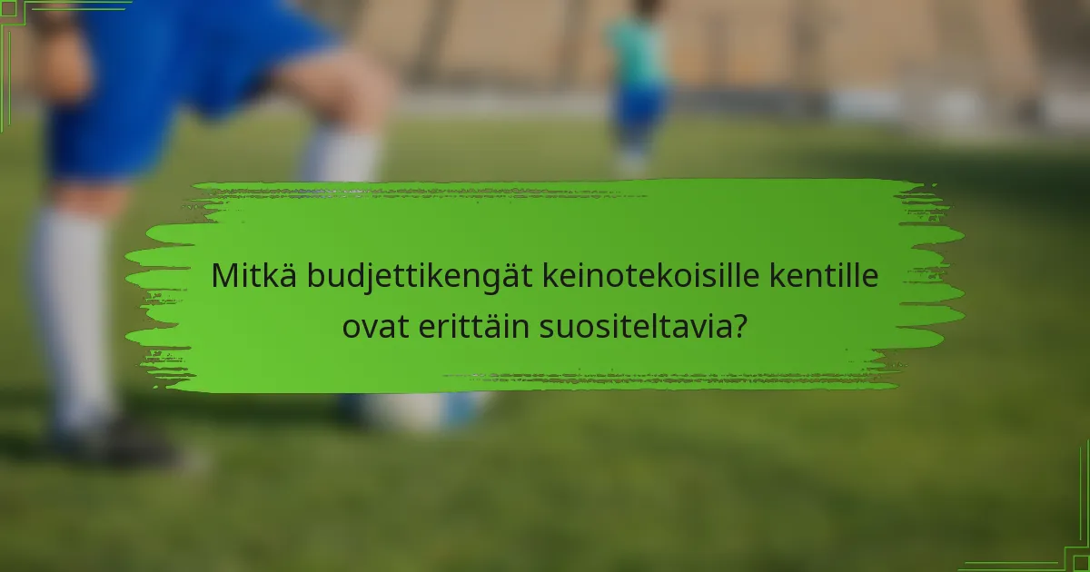 Mitkä budjettikengät keinotekoisille kentille ovat erittäin suositeltavia?