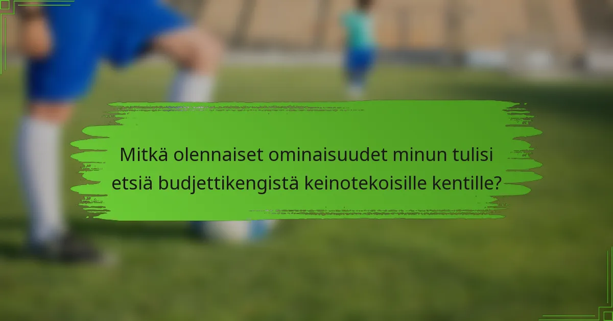 Mitkä olennaiset ominaisuudet minun tulisi etsiä budjettikengistä keinotekoisille kentille?